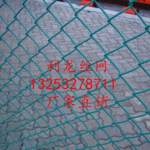 勾花網(wǎng) 用途廣泛的彈性護(hù)欄解決方案